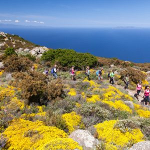 Isola d'Elba - Alla scoperta della GTE, la Grande Traversata Elbana