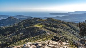 Un sentiero della grande traversata elbana nella zona orientale