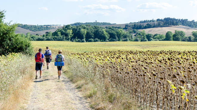 via francigena camminatori