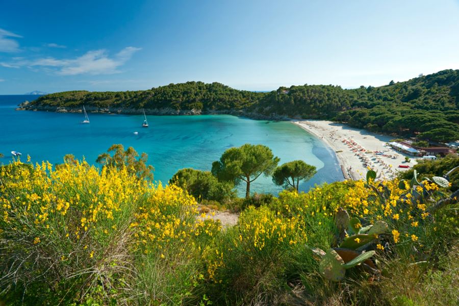 Spiaggia di Fetovaia da vedere all'isola d'elba