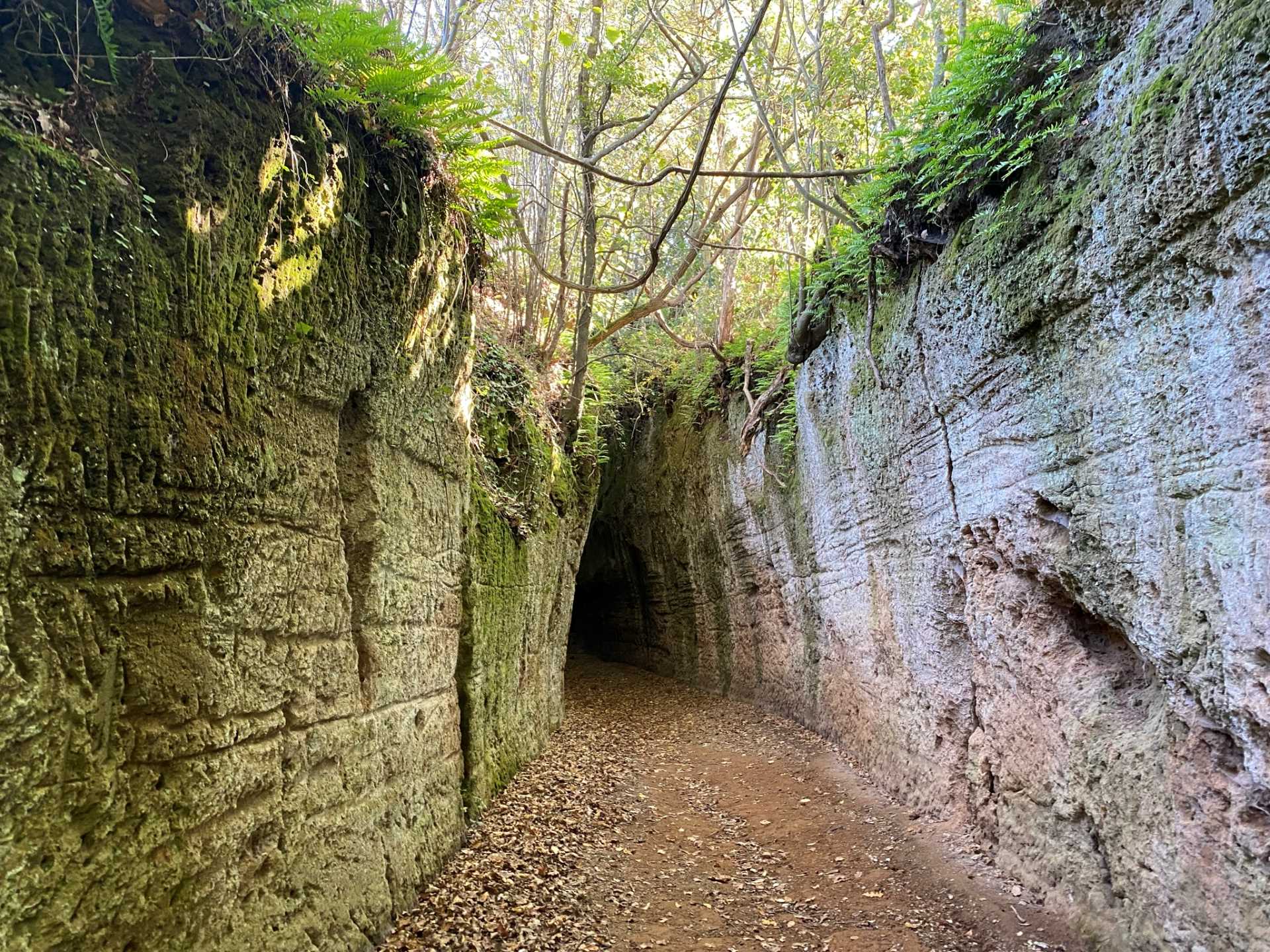 vie cave maremma