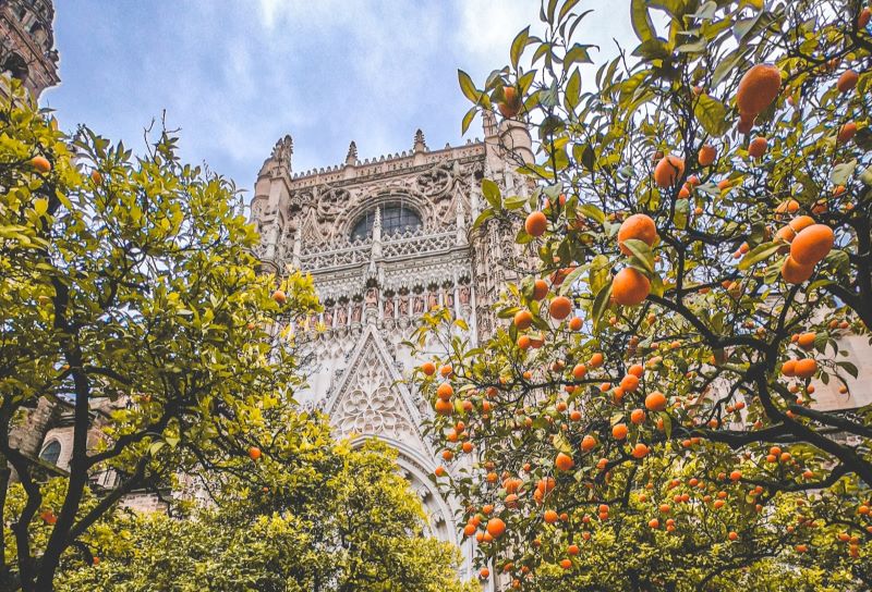 giralda siviglia andalusia viaggio
