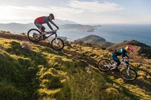 Esplorazione dell’Elba in e-mountain-bike