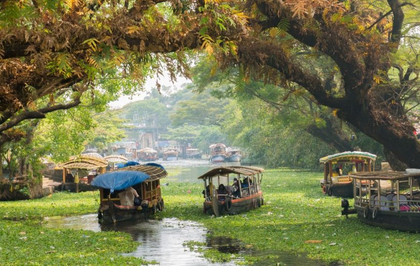 India Sud: viaggio nell'Essenza del Sud e Kerala Paese degli Dei