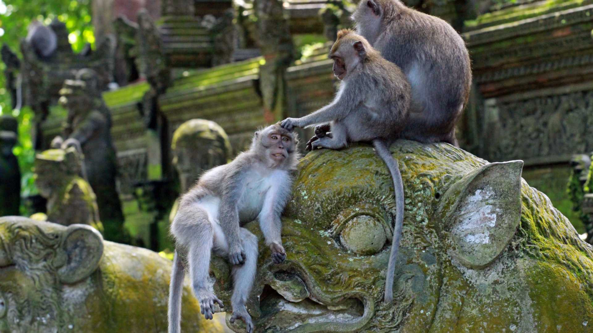 Viaggio a Bali spiritualità