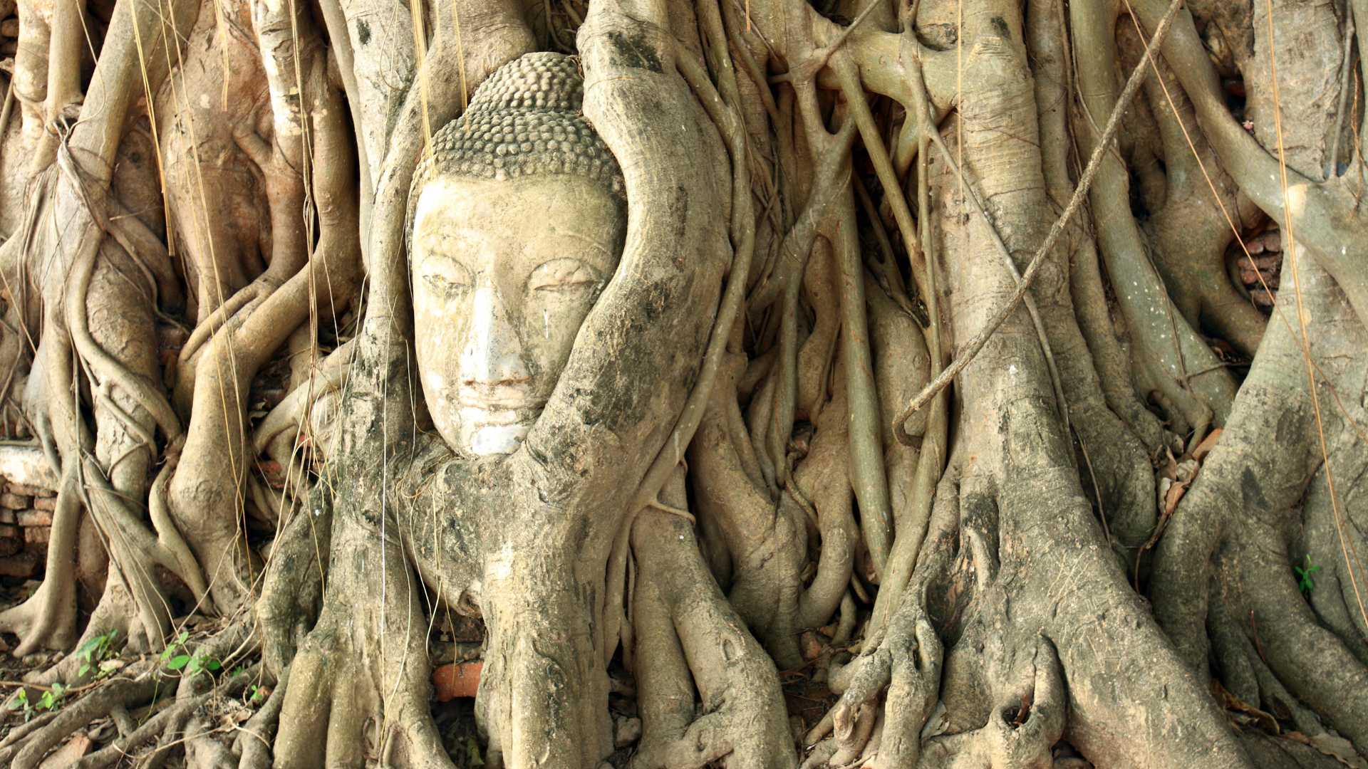 Thailandia cultura tempio spiritualità