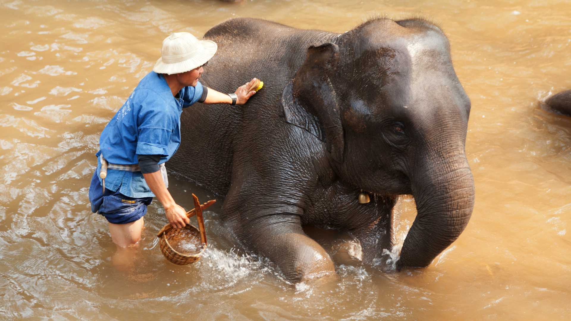 Elephant Village Camp Vietnam viaggio