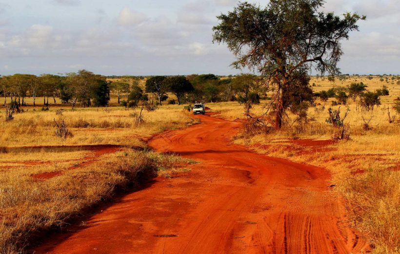 Safari in Kenya: Parco Nazionale dello Tsavo Ovest, di Amboseli e dello Tsavo Est