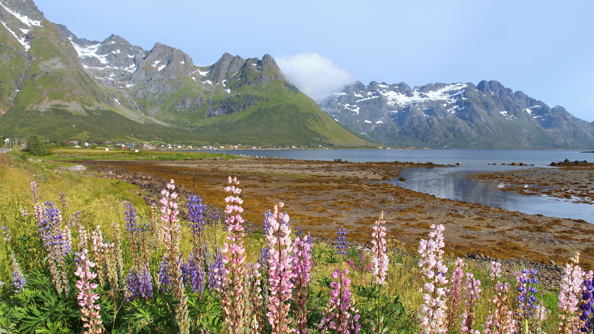 Primavera estate viaggio Isole Lofoten