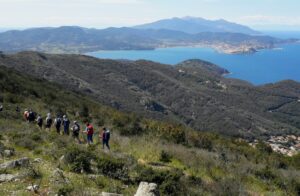 Trekking nella via dell'essenza